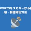 GAORA SPORTSをスカパーから視聴する手順・視聴確認方法